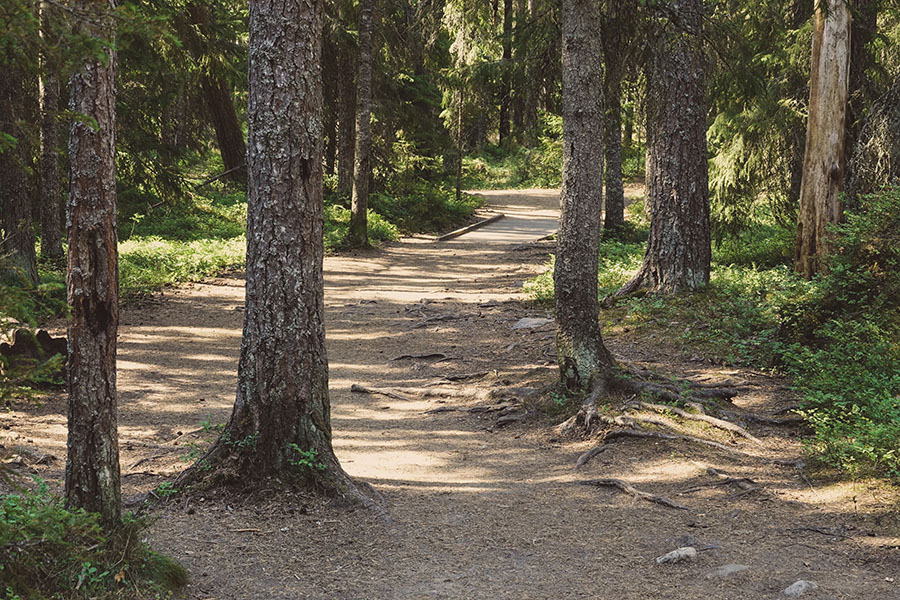 stabilizing hiking trails