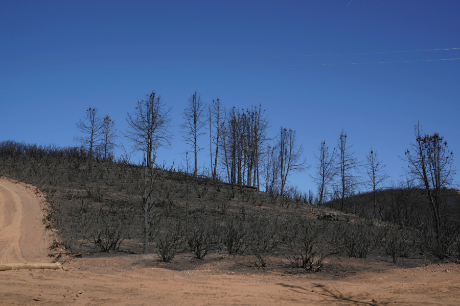 post-fire erosion control