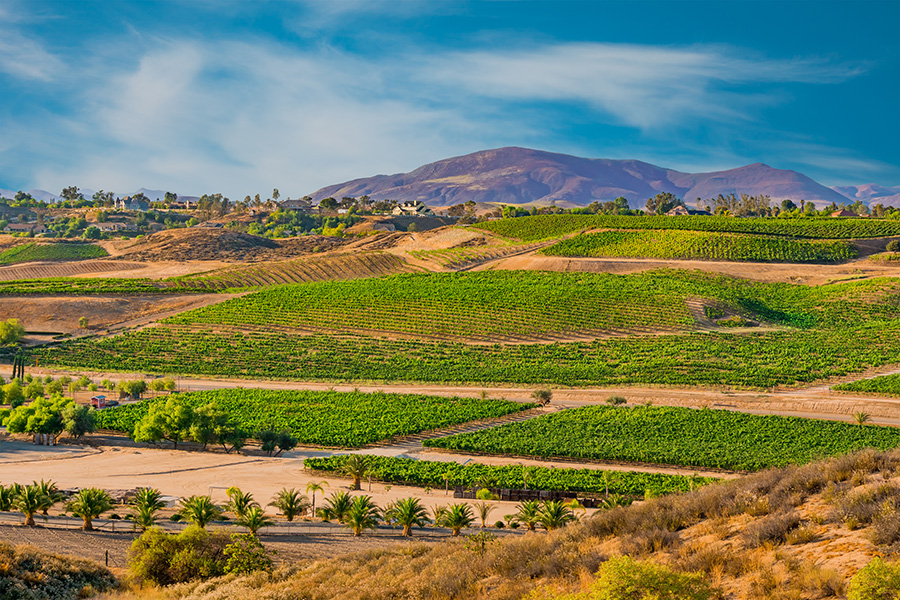 winery parking lot